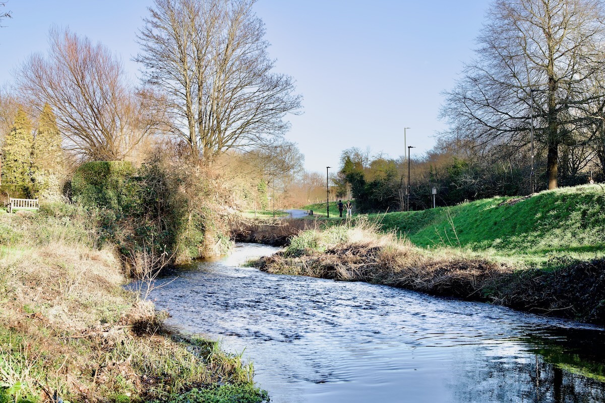Getting to Know Farnham in Surrey