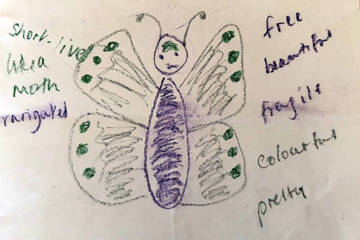 A Sad Butterfly