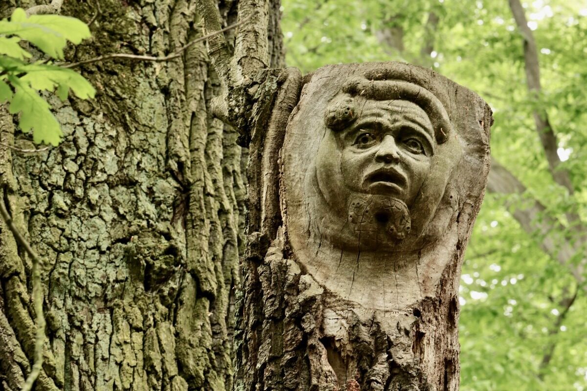 Carved Face in the Municipal Park in  Wolsztyn