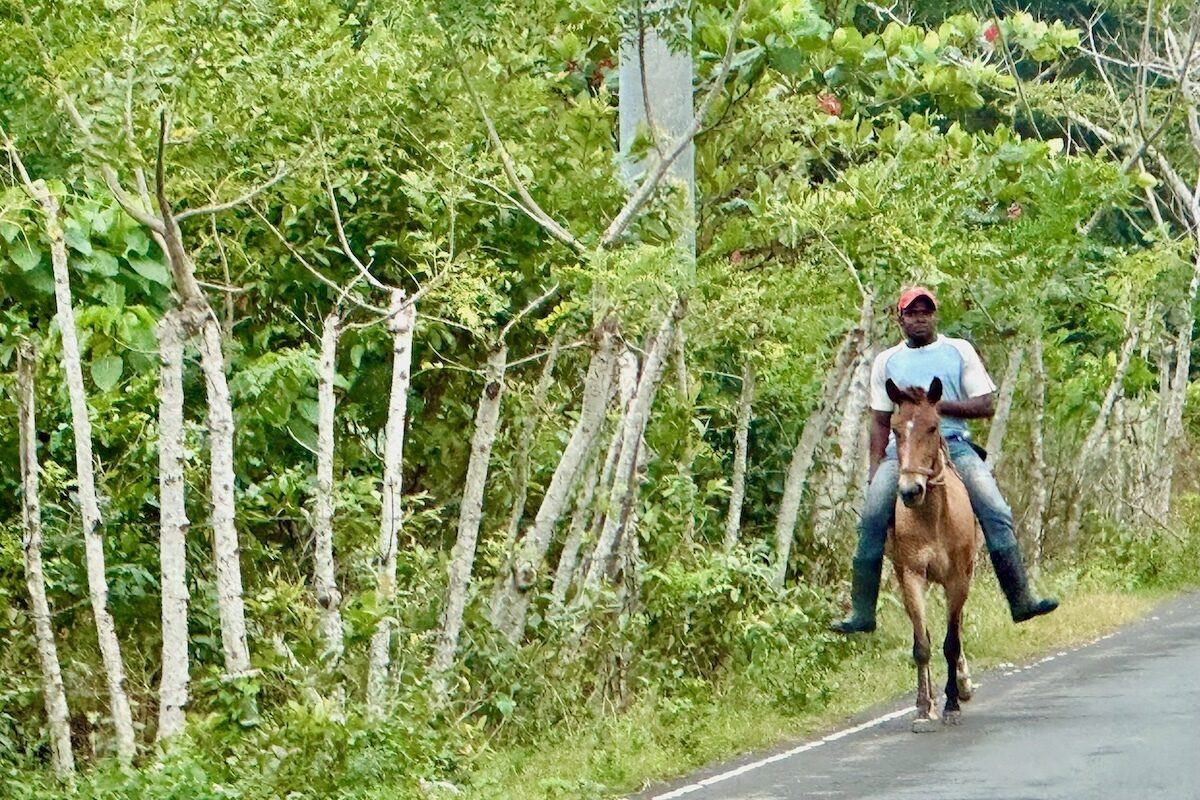 Popular Form of Transport in the Dominican Republic