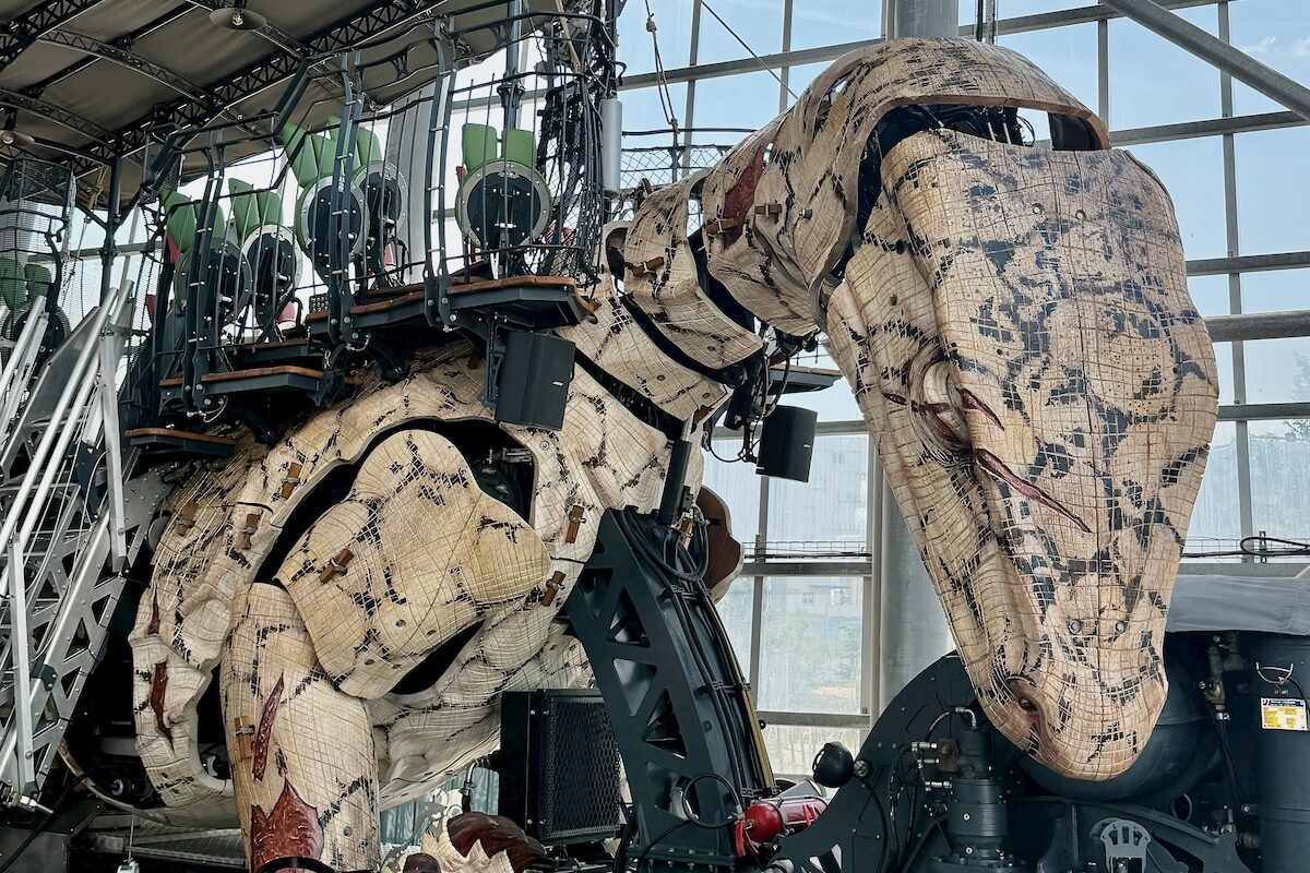 The Varan of Calais in Calais