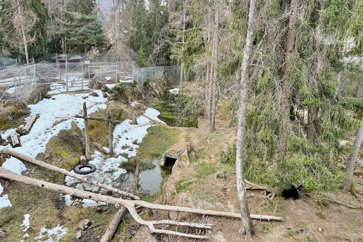 View over Zoo des Marécottes from my Bedroom