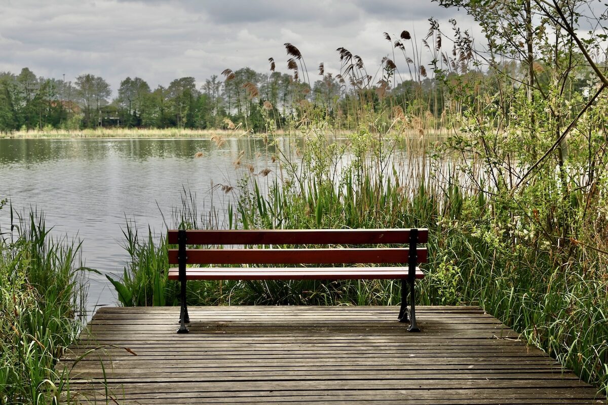 Wolsztyńskie Lake in Wolsztyn