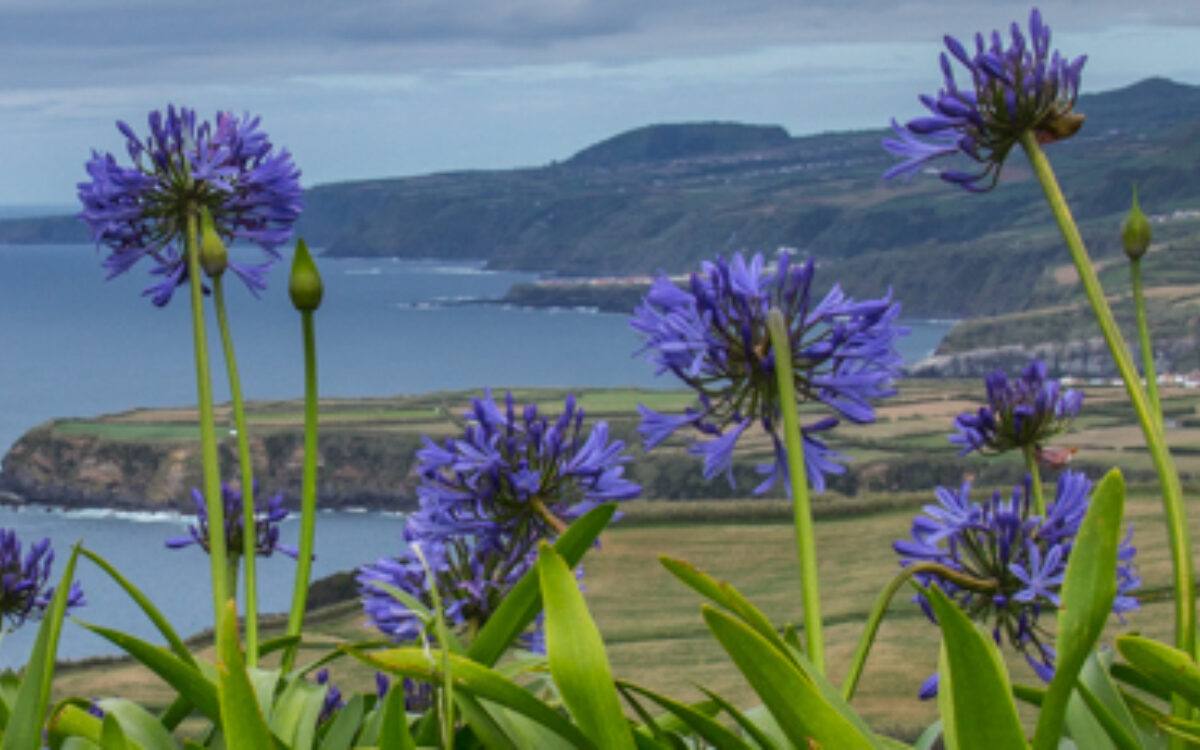 Views, Villages and Vegetation on São Miguel an Island in the Azores
