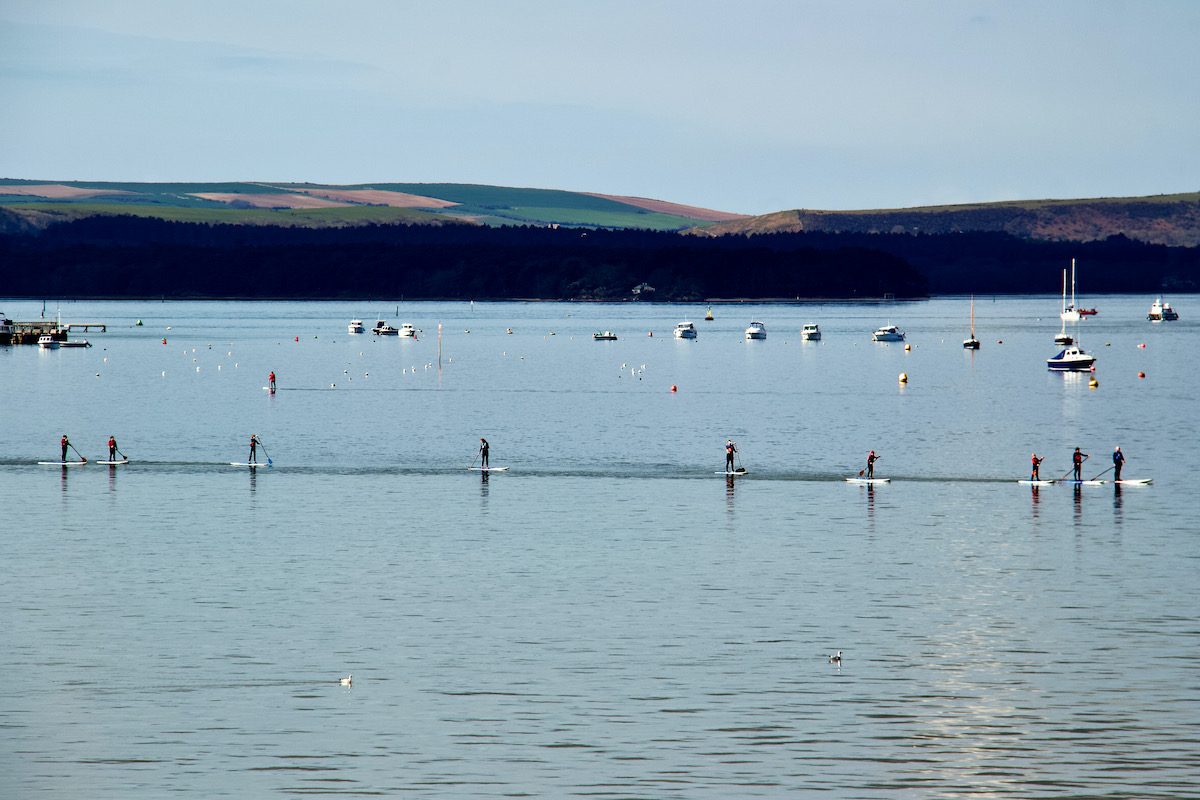 A Convoy of Paddle Boarders Crossing Poole Harbour in Dorset