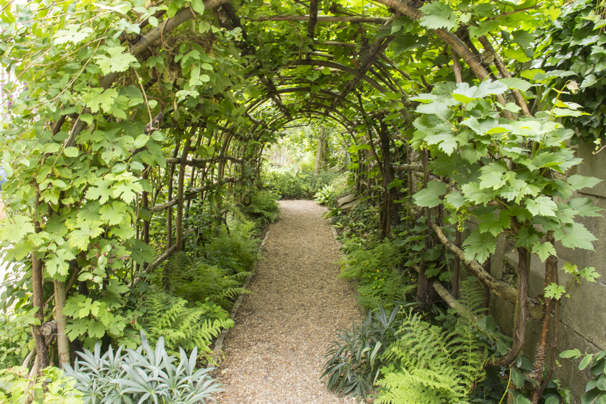 A tunnel arbour in Queen Eleanor's Garden in Winchester, Hampshire, England 60