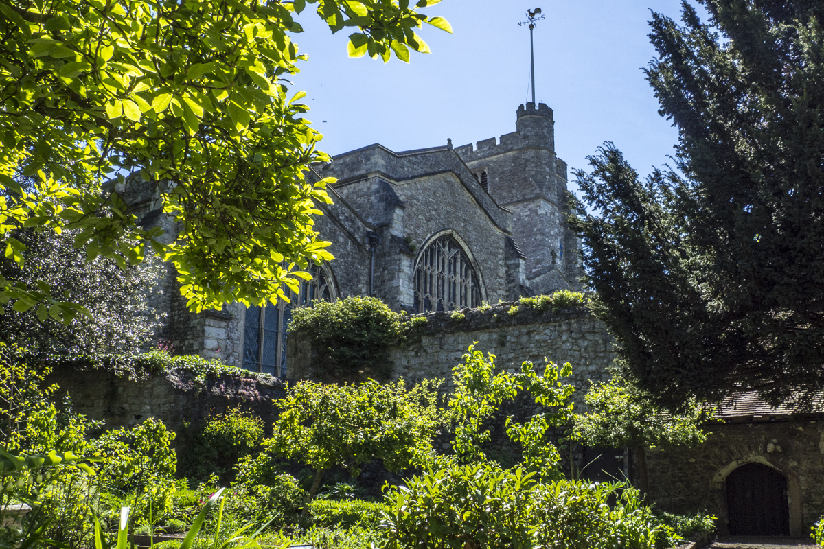 All Saints Chruch from the Garden of the Archbishops' Palace in Maidstone, Kent  5141342