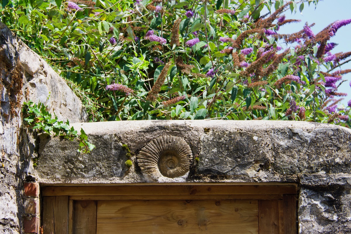Ammonite Fossil in the Lintel of a Gate in Lyme Regis
