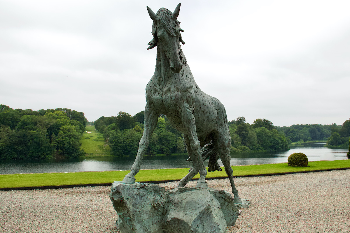 Andalusian Stallion at Blenheim Palace, Oxfordshire