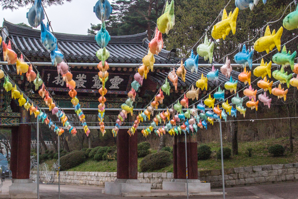 Approaching Tongdosa Temple in South Korea