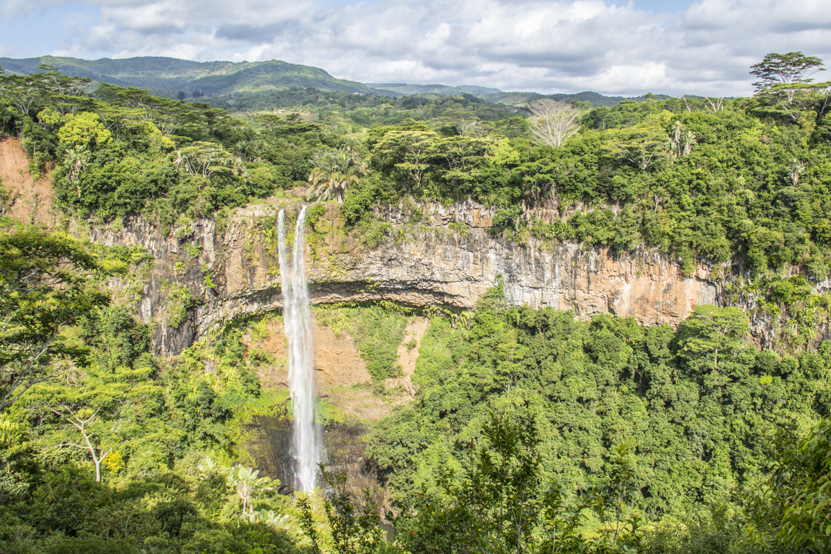 Black River Gorges Natural Park on Mauritius  4679