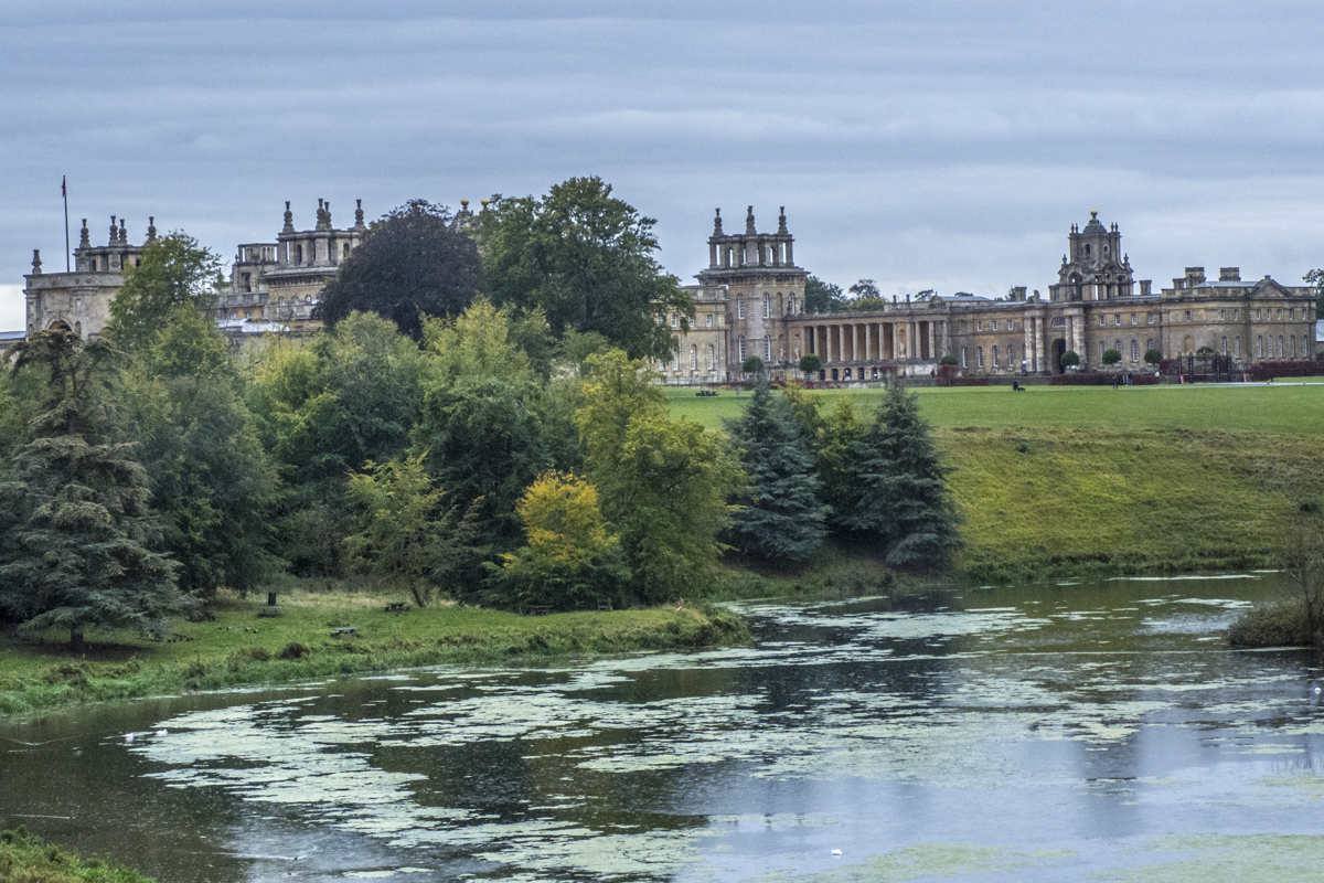 Blenheim Palace in Woodstock, Oxfordshire  9301720