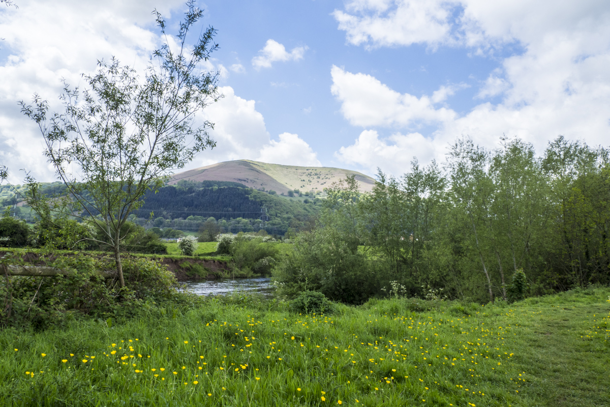 Casstle Meadows in Abergavenny in Wales 5101005