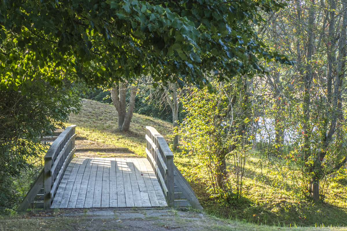 Centenary Park in Pāvilosta in Latvia   8280608