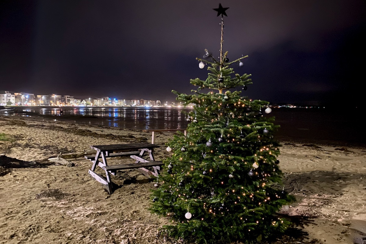 Christmas Tree next to Poole Harbour in Dorset