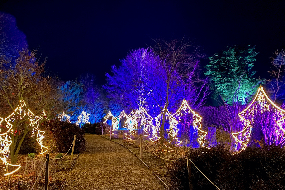 An Illuminated Trail at Kingston Lacy in Dorset