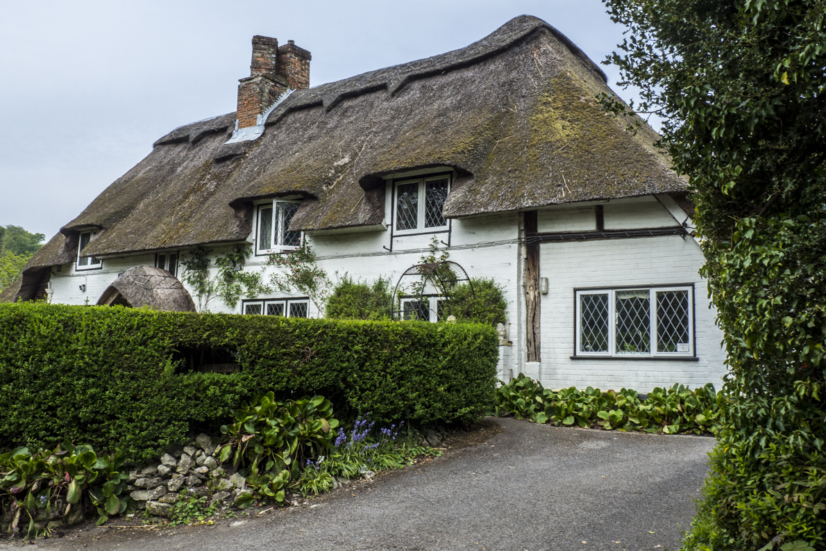 Cottage in Selbourned in Hampshire   5013832
