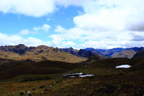 El Cajas National Park near Cuenca Ecuador