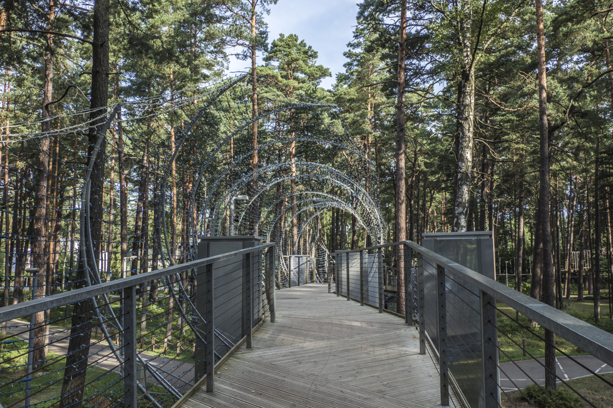 Elevated Walkway in Dzintaru Forest Park in Jūrmala in Latvia 8290786