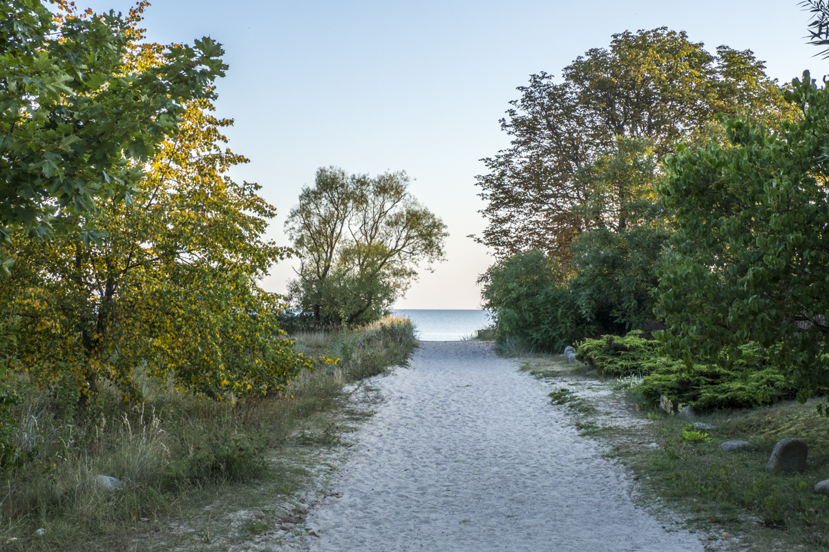 Every Road Leads to the Beach at Pāvilosta in Latvia   8280512