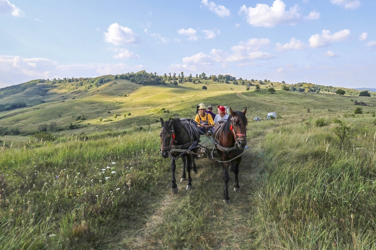 Exploring the countryside around Viscri in Romania Image Credit  Andy Wilson