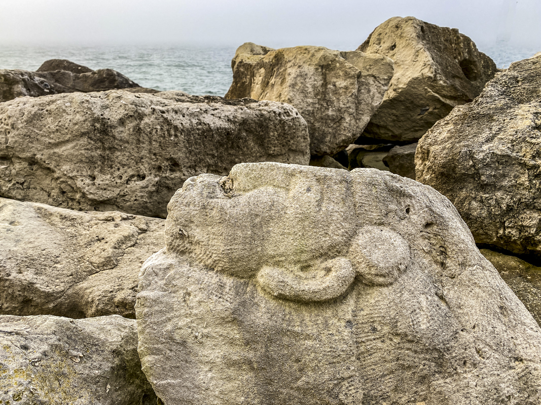 Face in Rocks on Sandbanks Beach  5338
