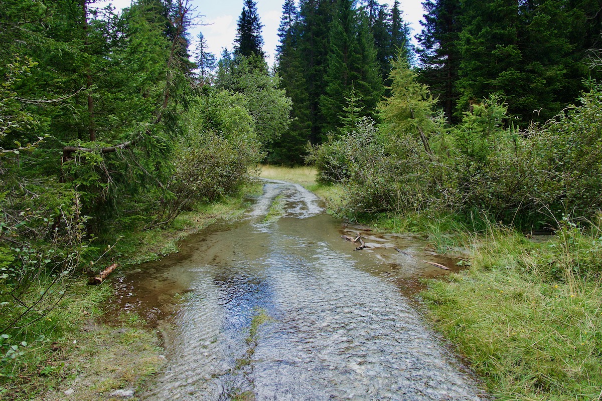 Flooded Path in Madonna di Campiglio, Italy