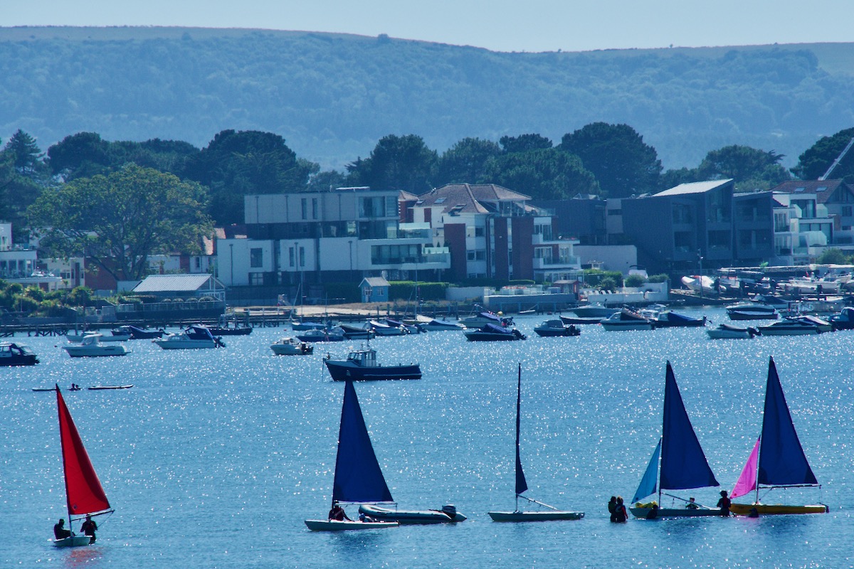 Flotilla of Sailboats in Poole Harbour, Dorset