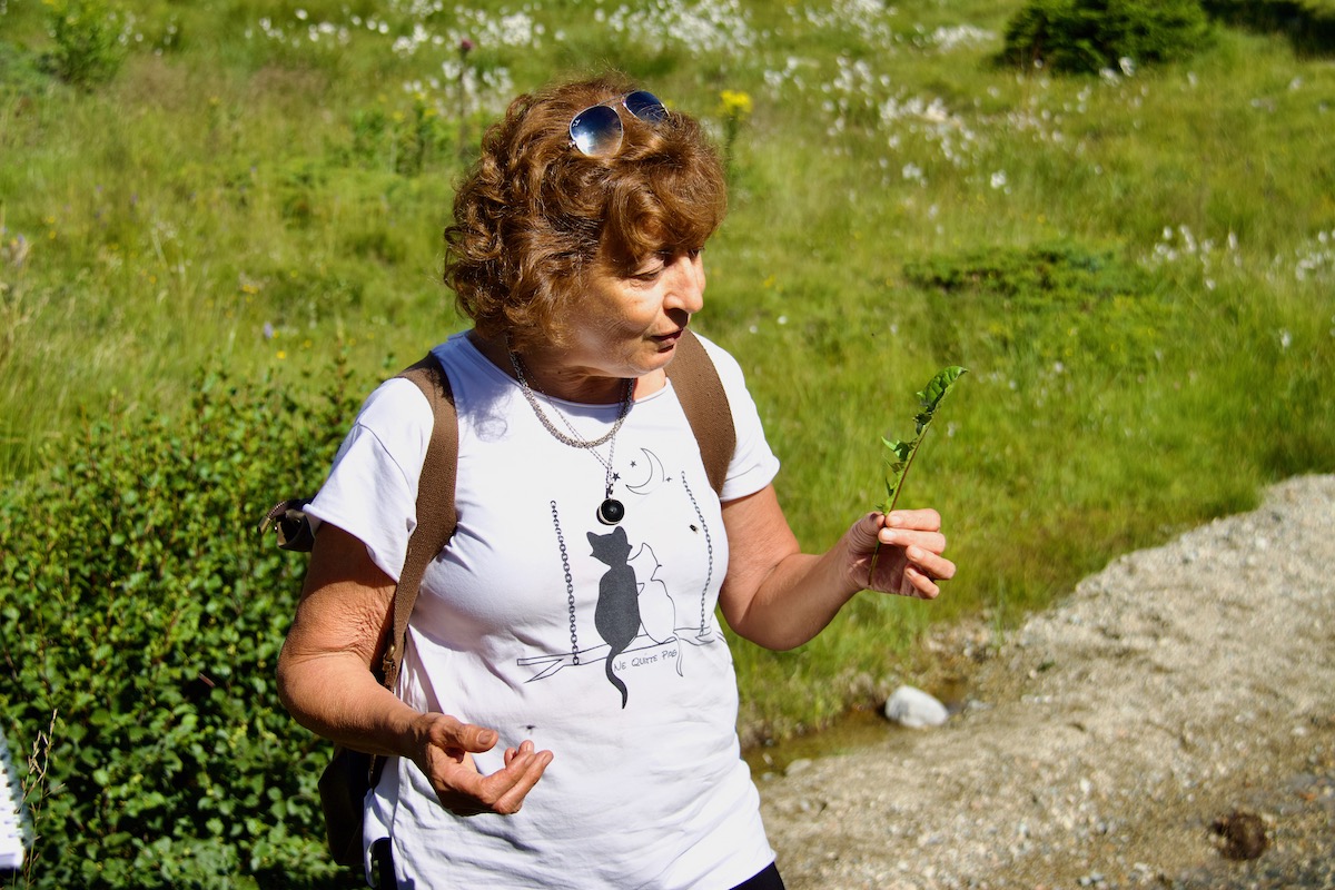 Foraging with Mariangela Vesentini  in the Brenta Dolomites in Madonna di Campiglio