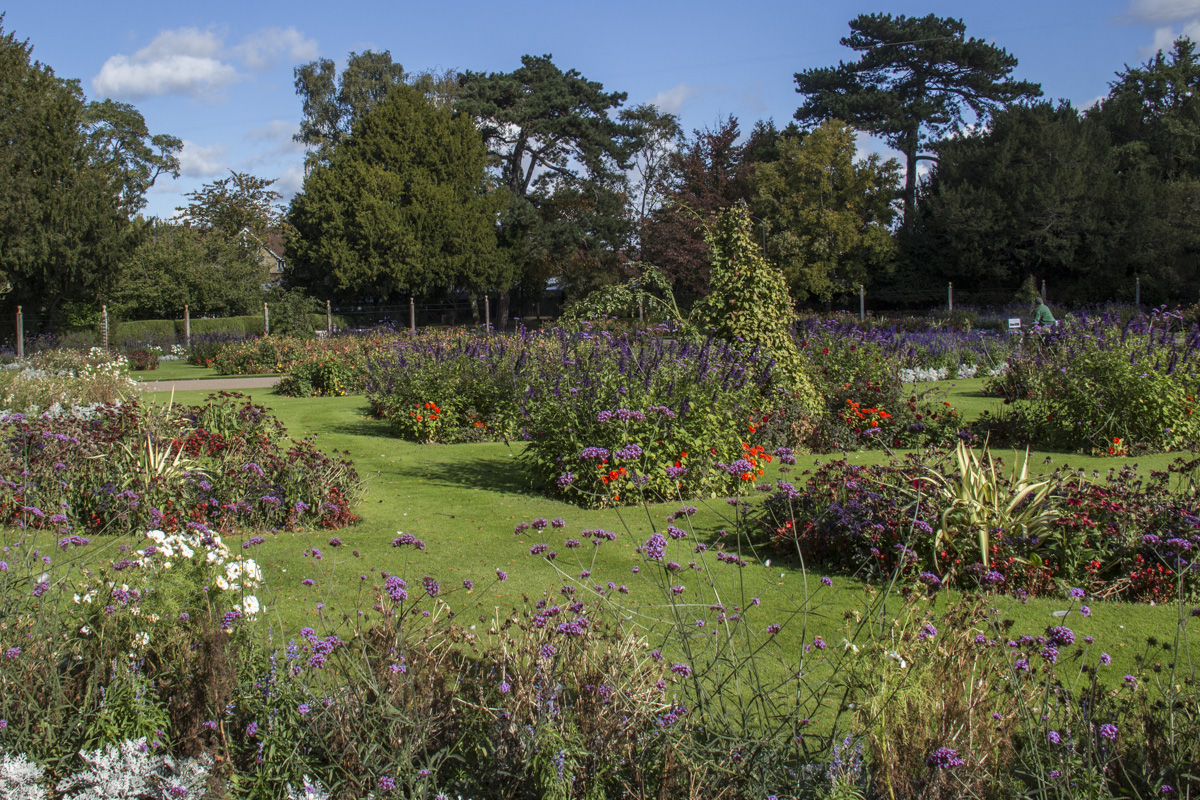 Formal garden in Abbey Gardens in Bury St Edmunds, Suffolk, UK   0077