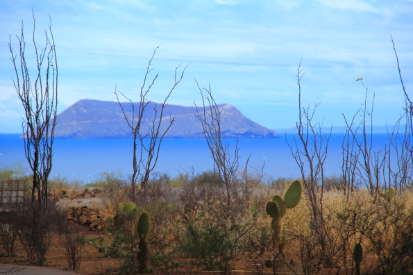 The view from outside Baltra airport on the Galapagos Islands
