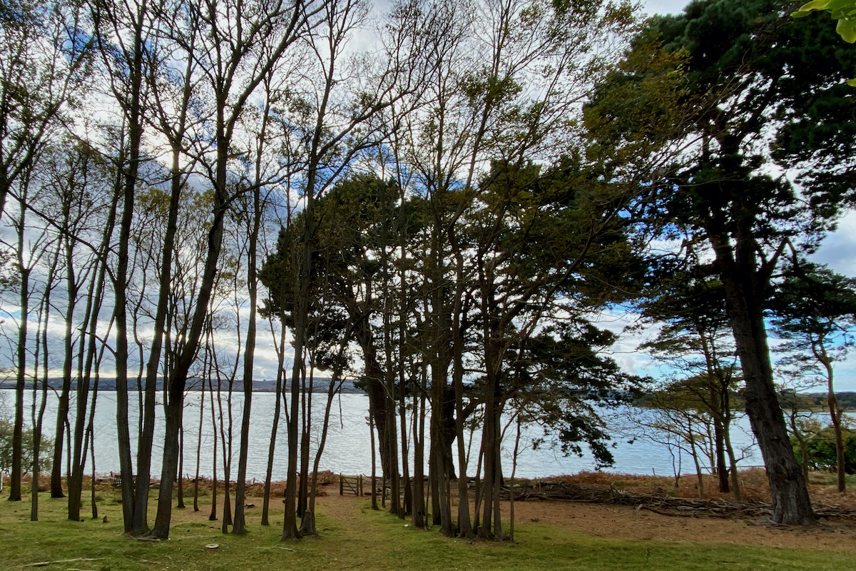 Garden of South Shore Lodge on Brownsea Island in Poole Harbour, Dorset