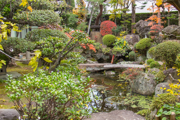 Garden of the temple next to Jorinji shrine in Matsumoto, Japan