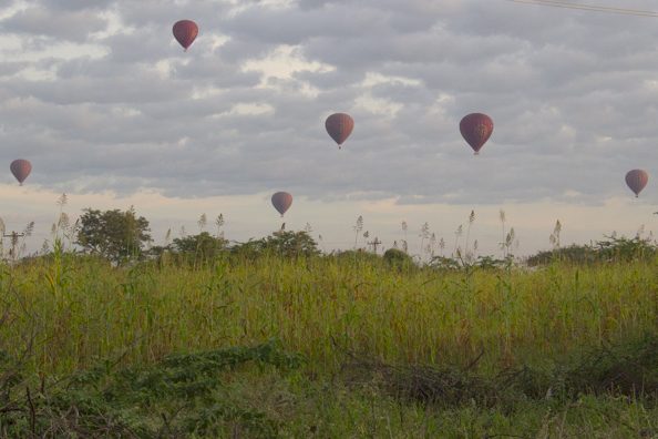 Hot air balloons takking off overf Bagan in Myanmar