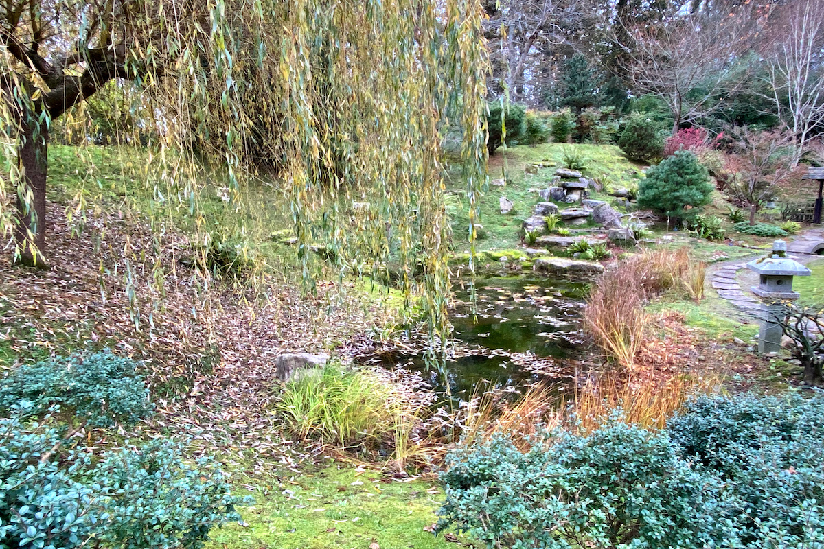 Japanese Garden at Kingston Lacey , Wimborne in Dorset