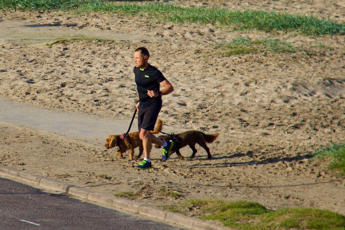 Jogger and Reluctant Companions
