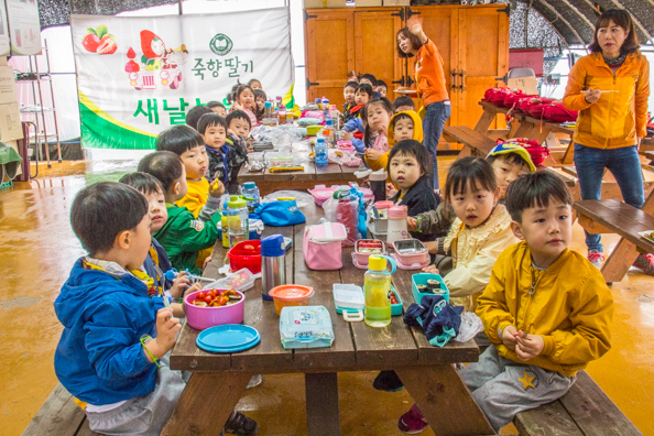 Korean children enjoying the Strawberry Experience on the Avenue of Metasequoia trees in Damyang, South Korea