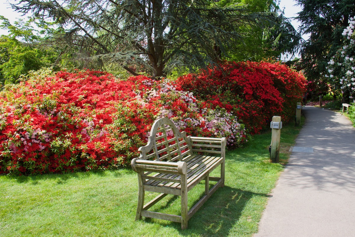 Leonardslee Gardens, Horsham in West Sussex
