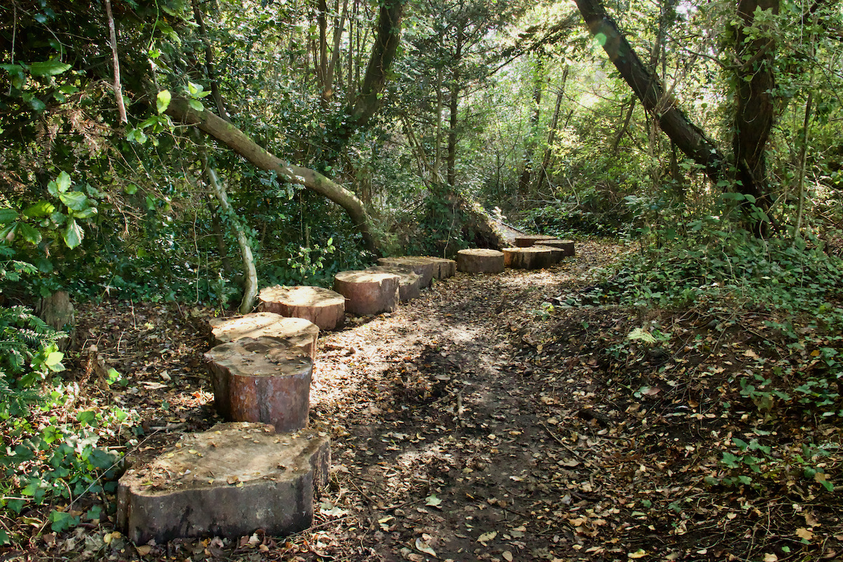 Luscombe Valley Nature Reserve in Poole, Dorset