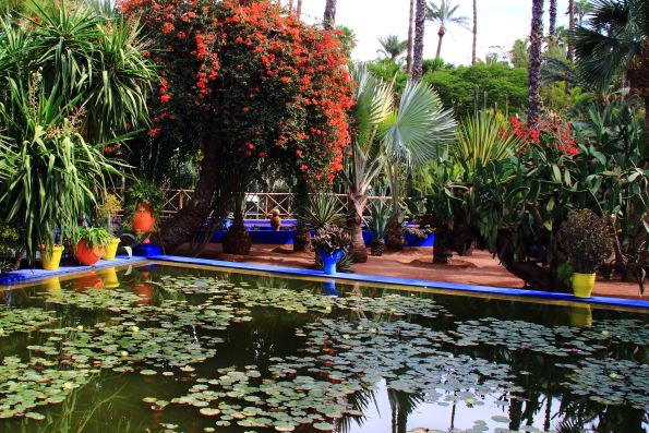 A quiet corner in the Majorelle Garden in Marrakech