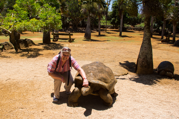 Meeting giant tortoises at Vanille Réserve des Mascareignes on Mauritius