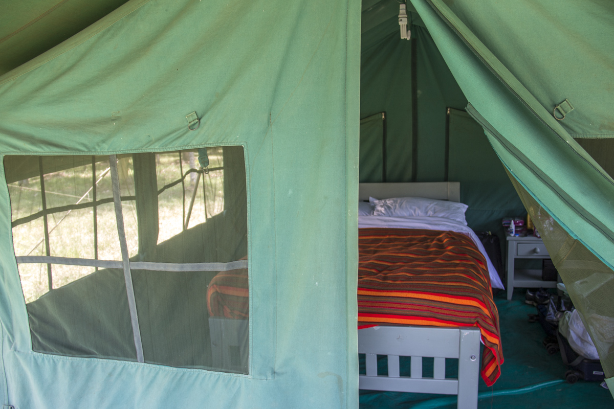 My tent at the Mara Training Centre in the Enonkishu Conservancy, Kenya  0163