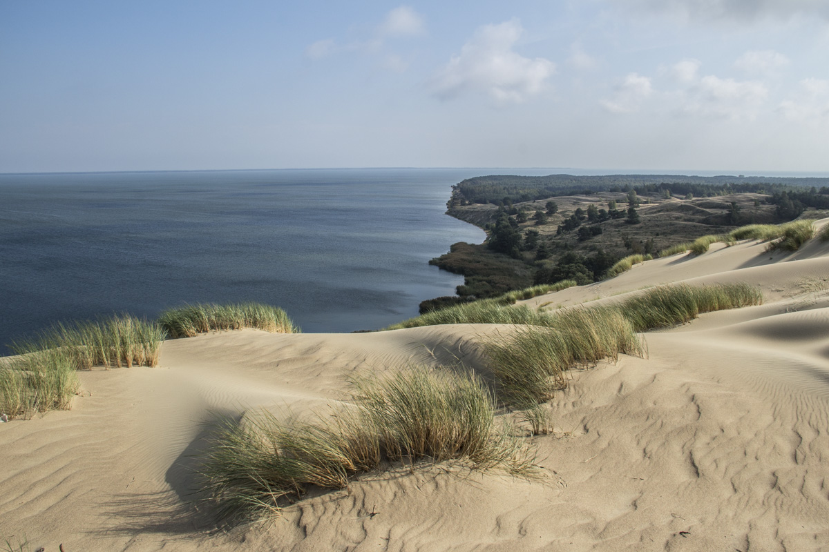 Nagliai Strict Nature Reserve on the Curonian Spit Lithuania  0105
