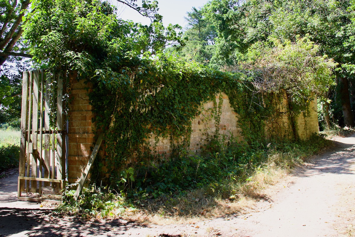 Neglected Gate and Victorian Wall of Carey's Secret Garden near Wareham in Dorset