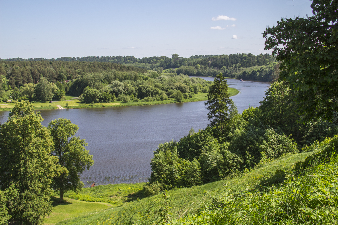 Nemunas River from Vytautas Hill in Birštonas Lithuania  7864