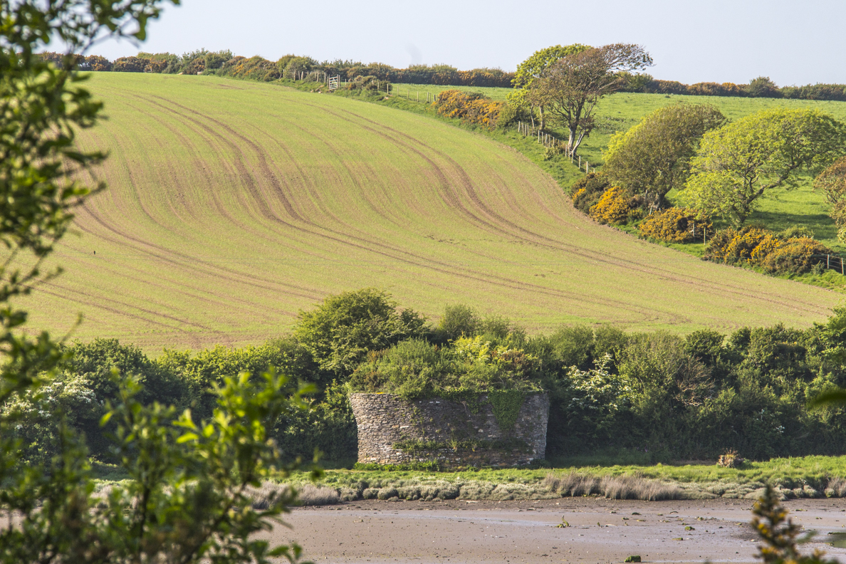 Old lime kiln on the River Nerne in Newport, Pembrokeshire, Wales   8564