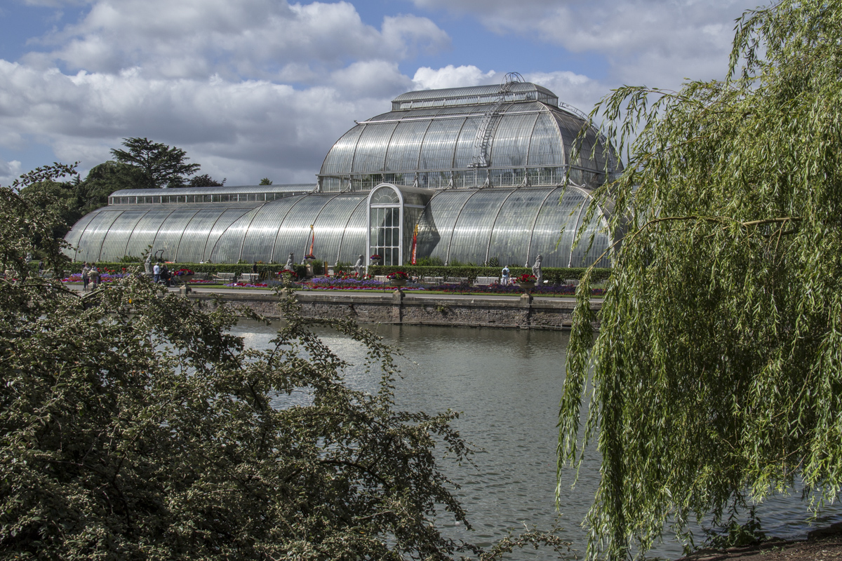 Palm Court and the Pond at Kew Gardens 2116