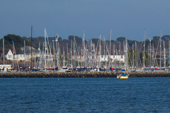 Parkstone Yacht Club on Parkstone Bay in Poole Harbour