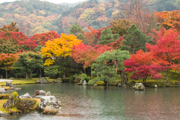 Pond garden at Tenryu-jiin Temple in Arashiyama, Japan