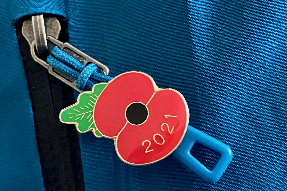 Poppy for Remembrance Day